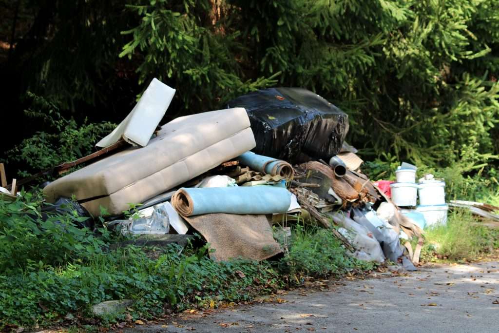 Illegal garbage dump near local paved forest road filled with domestic garbage surrounded with tall grass and forest vegetation on warm sunny summer day